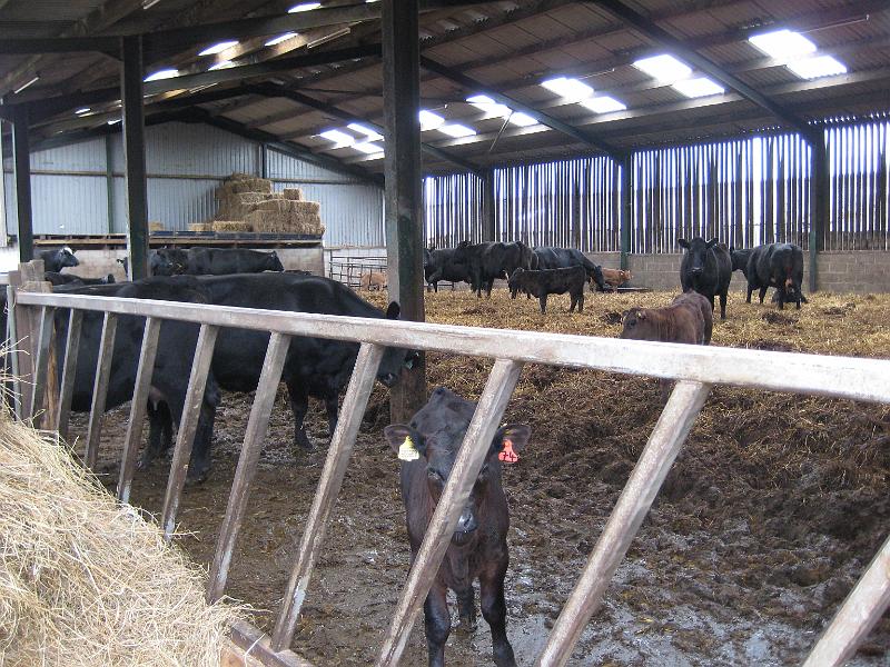 Charlie Spinks 40th 023.jpg